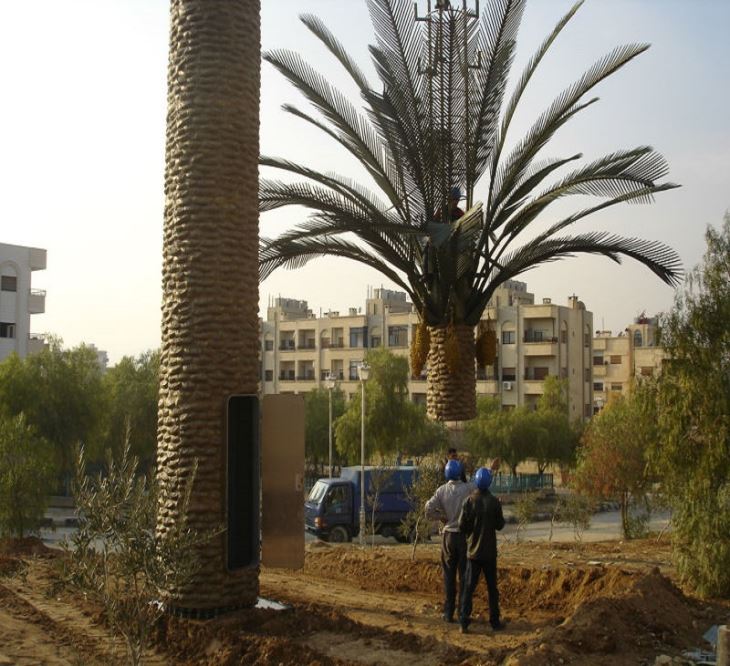 Camouflaged Palm Tree Towers