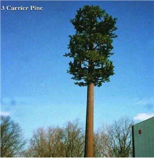 25 m aukštos kokybės palmių ląstelių bokštai