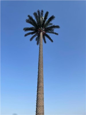 30m paslėptas antenos slėptas palmių bokštas